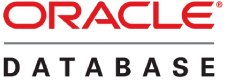 Informačné systémy prepojené Oracle SQL